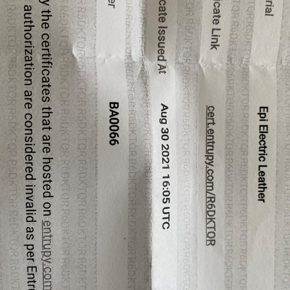 Louis Vuitton Epi Leather Passy PM bag - Brown - Picture 14 of 15